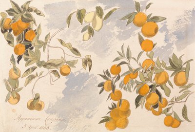 果樹、1863年4月3日 作： Edward Lear